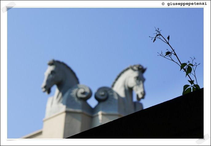 La Cavallerizza Caprilli