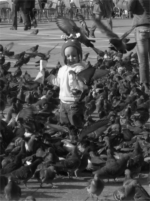 Bimbo tra i piccioni in P.zza S.Marco (VE) [in verticale]