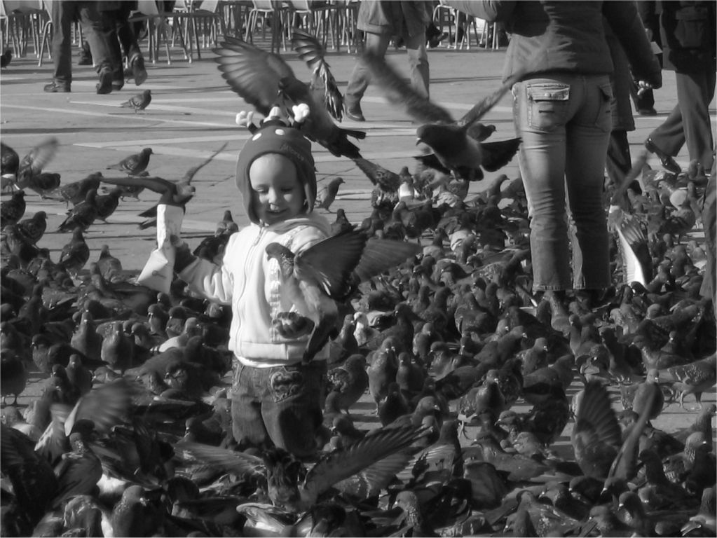 Bimbo tra i piccioni in P.zza S.Marco (VE) [orizzontale]