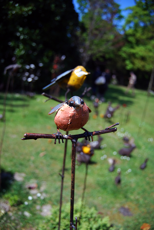 ...cantano gli uccellini cantano...