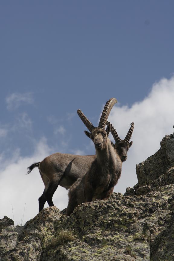 ...da qu� ti vediamo...!