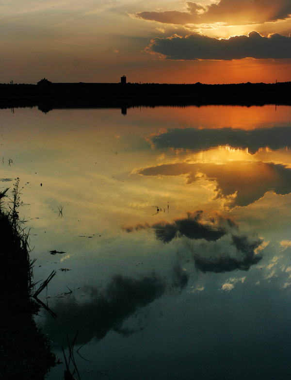 Verso L'isola che non c'�