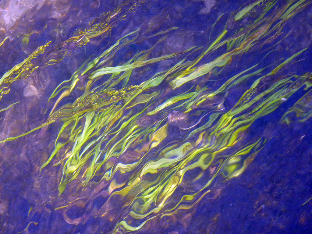 PANTA REI -TUTTO SCORRE