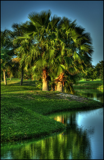 astept�ndu-l pe pr�slea