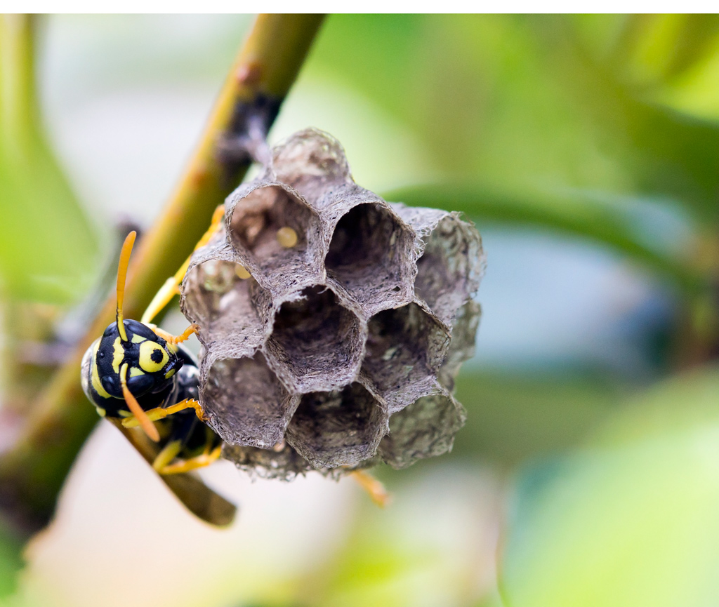 Questa � casa mia!