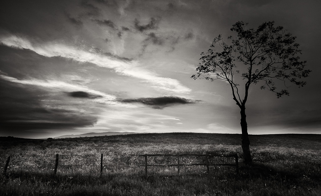 Una strana malinconia