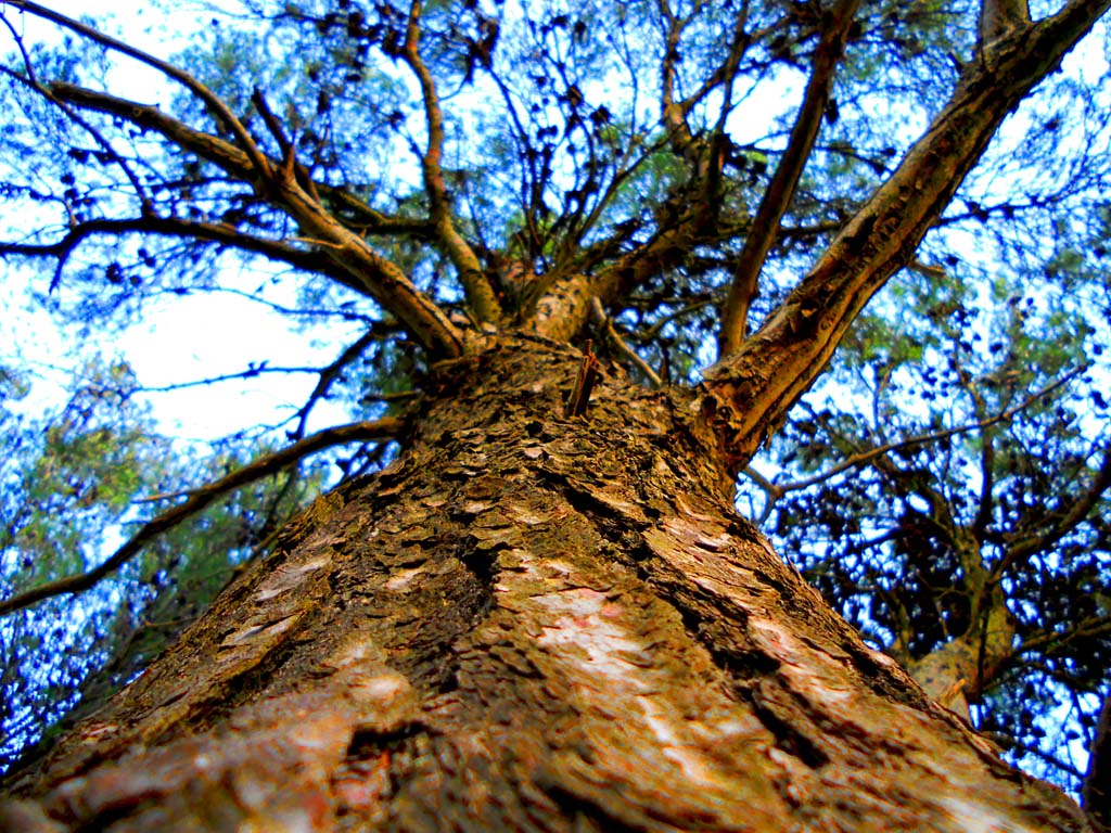 sensazioni dal basso