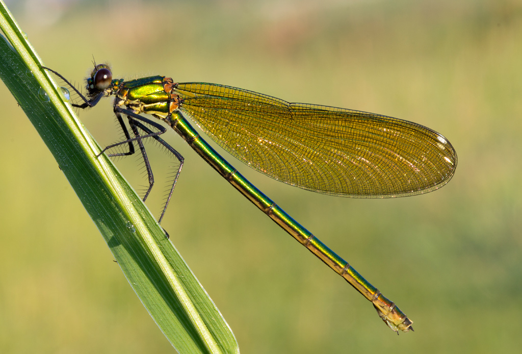 Prima uscita, work in progress: wow!!