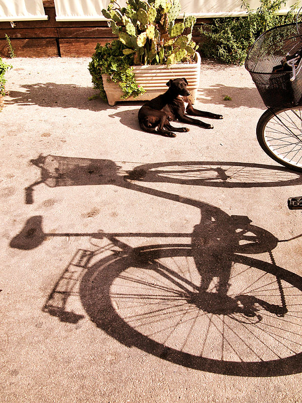 In Memoria Di Kek�