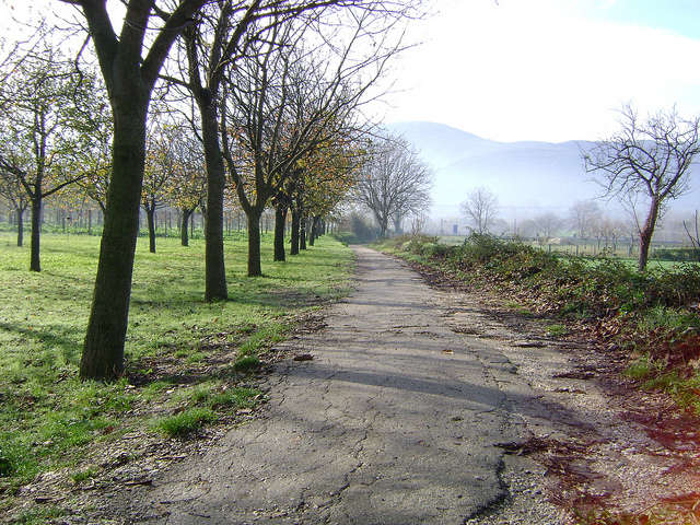 Campagna beneventana