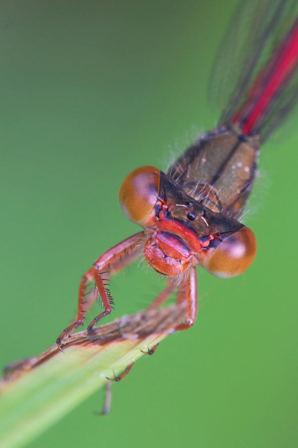 ..Sguardo Intenso...!!!
