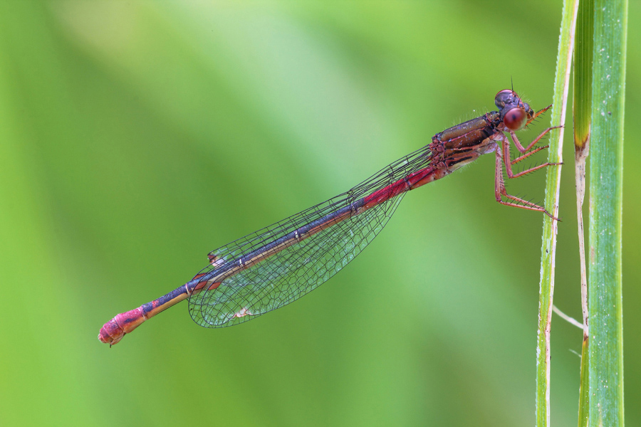 ...Vita Vissuta...!!!