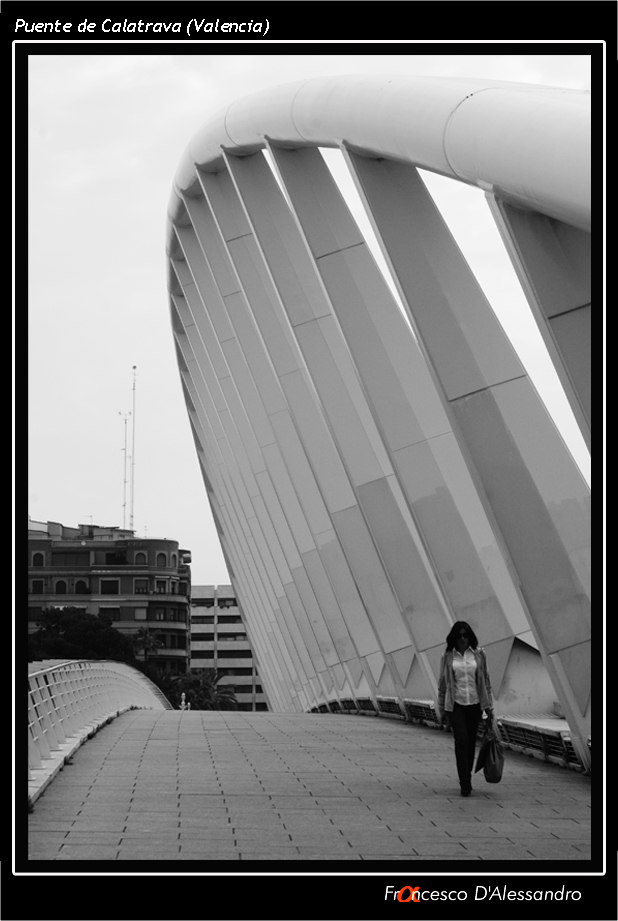 Puente de Calatrava (Valencia)