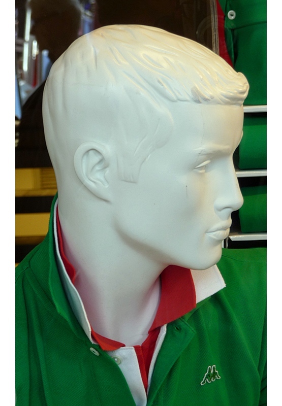 una giornata a Torino tricolore