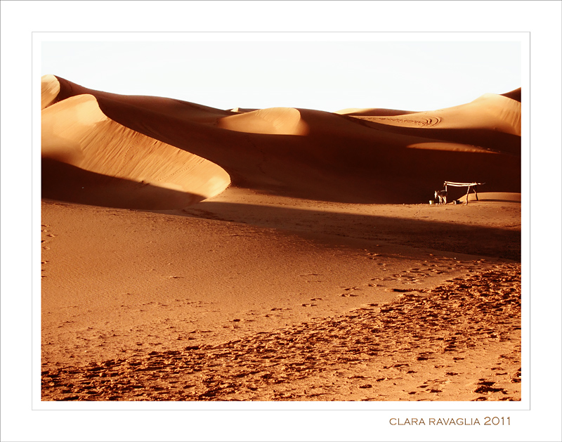 Merzuga. Asinello...all'abbeverata.