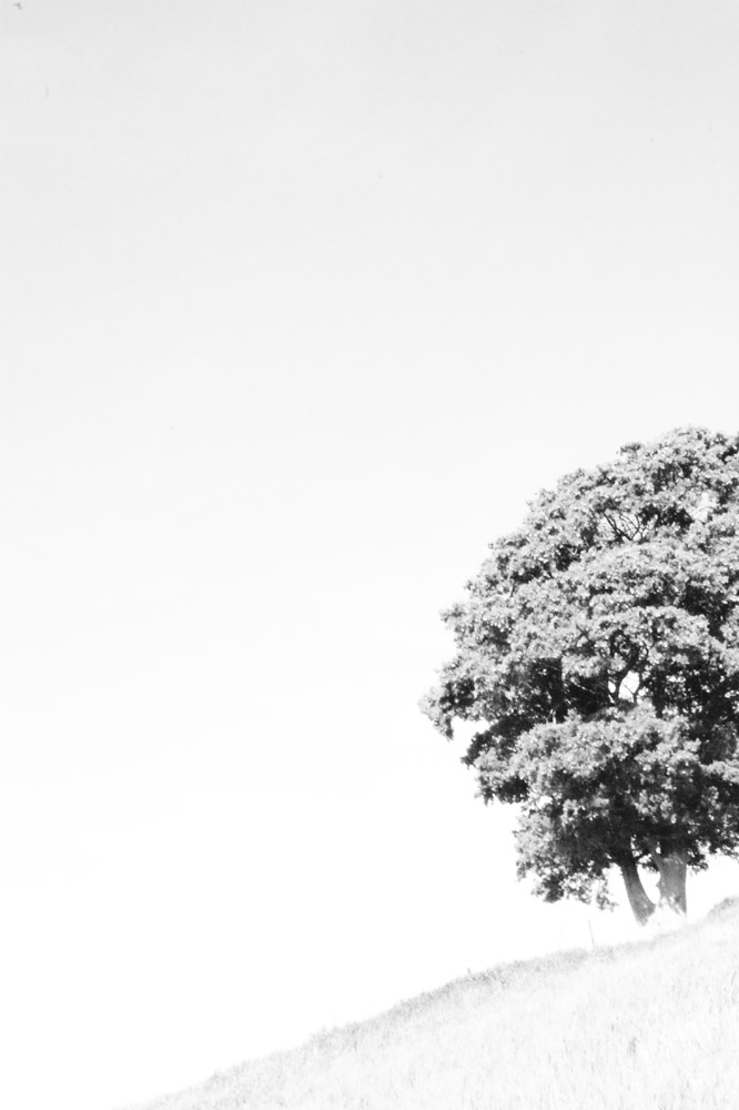 il padrone del tempo