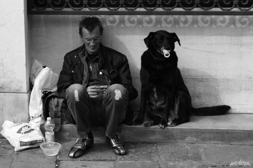 il cane con il succhiotto