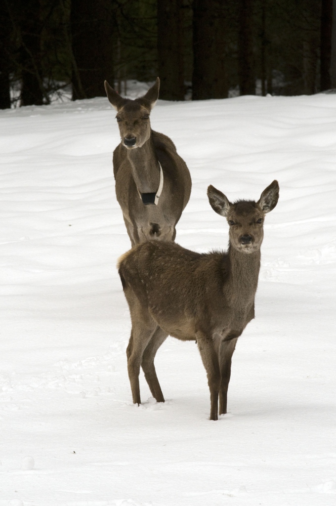 A passeggio con la mamma