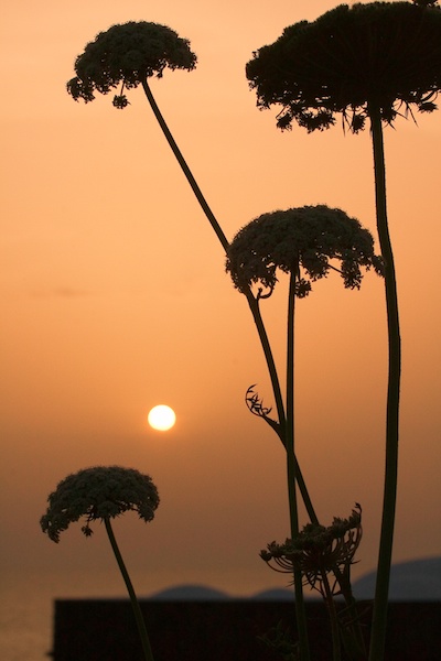 Una calda sera d'estate