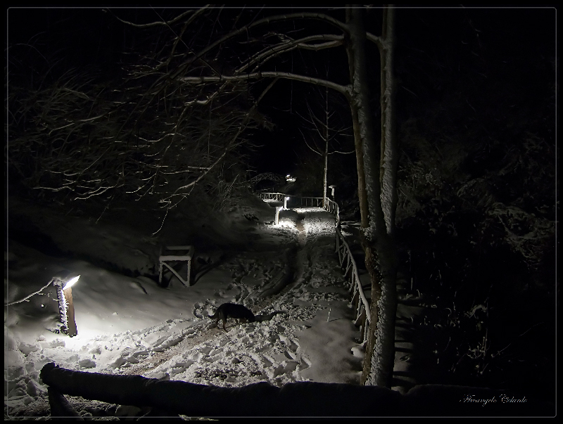Notte in Val D' Orsigna