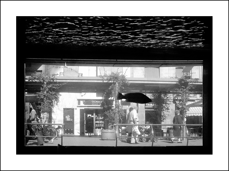 Dal basso ... attraverso