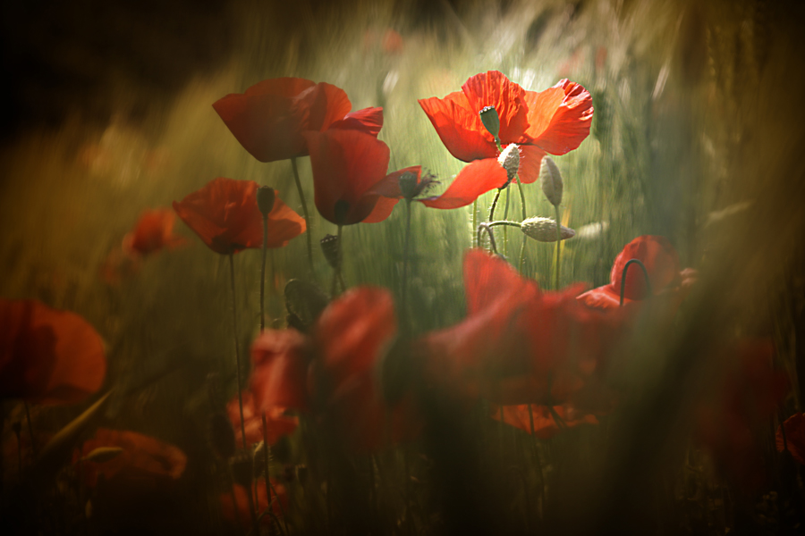 A volta basta poco.........