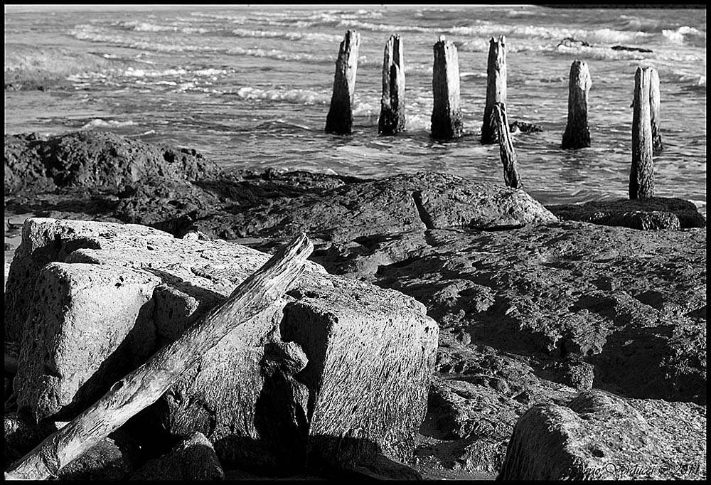 Qualcosa sullo stomaco...