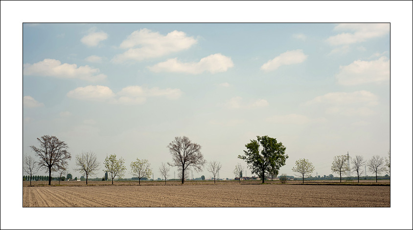 Diversi, sotto lo stesso punto di blu