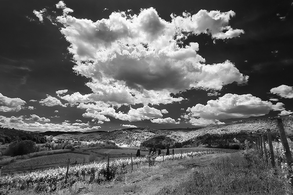 Toscana in b/n