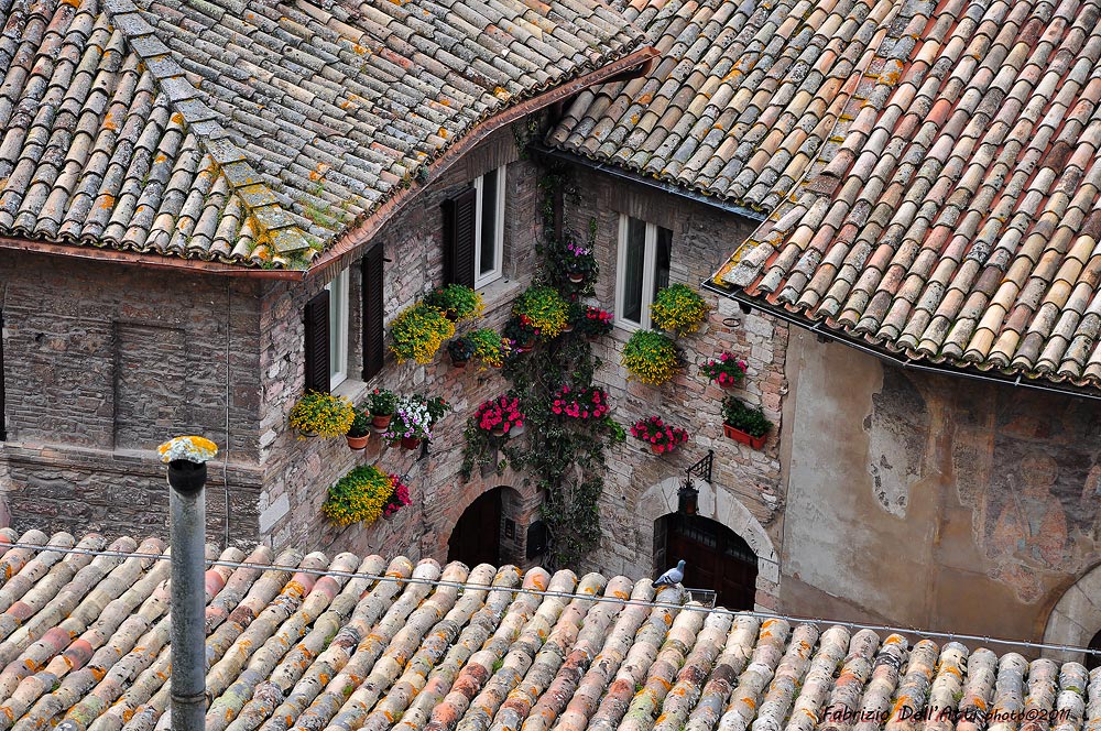 Assisi sui tetti