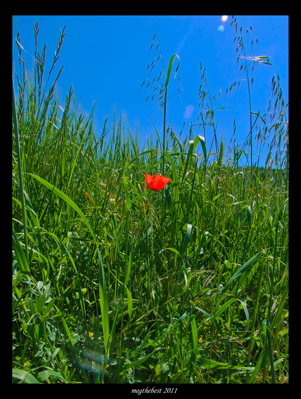 alone "rosso e da solo"