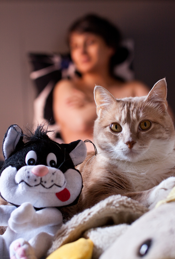 Mi sento osservato...