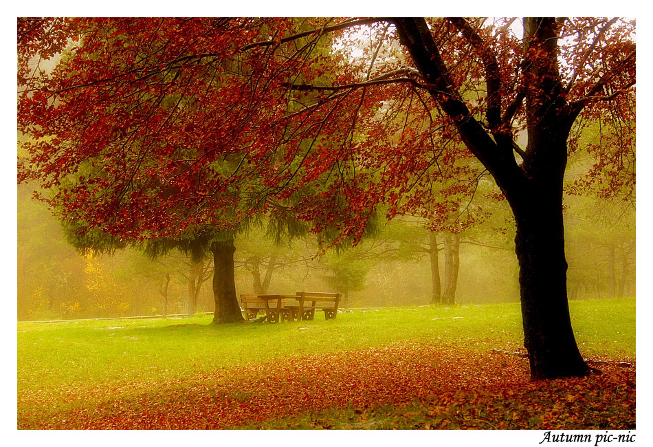 Autumn pic-nic