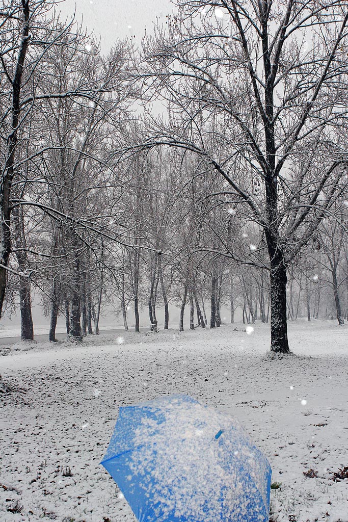 Nevica ...  forse troppo presto