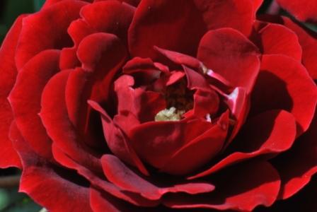 vellutata penombra.....