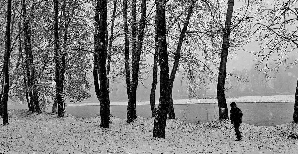 Nevica ...  forse troppo presto 2