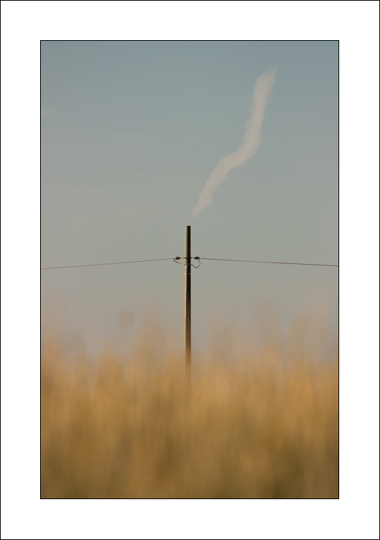 La fabbrica del grano