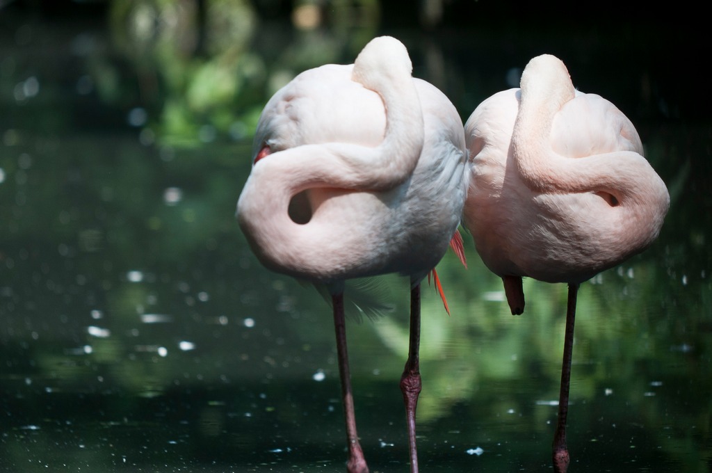 Simmetrie imperfette