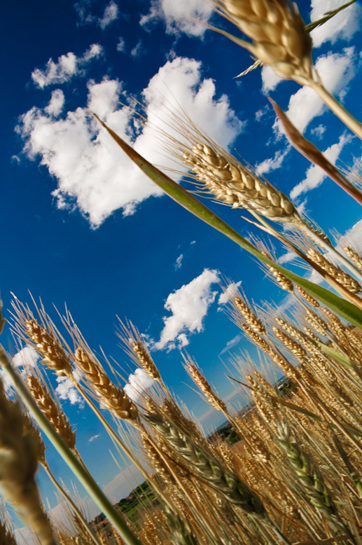 il cielo sopra Rimini, oggi.
