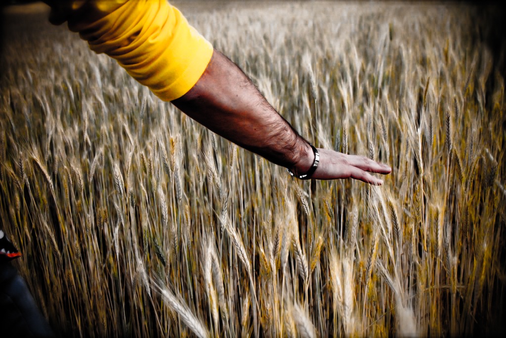 Er gladiatore de noi artri!!!!