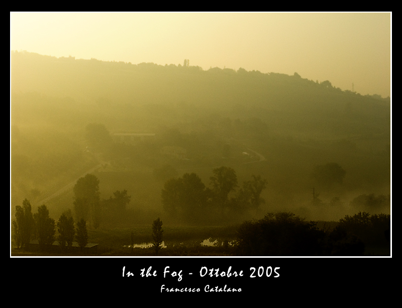 In the fog - Torrette di Ancona