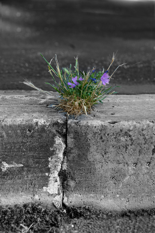 La forza della natura