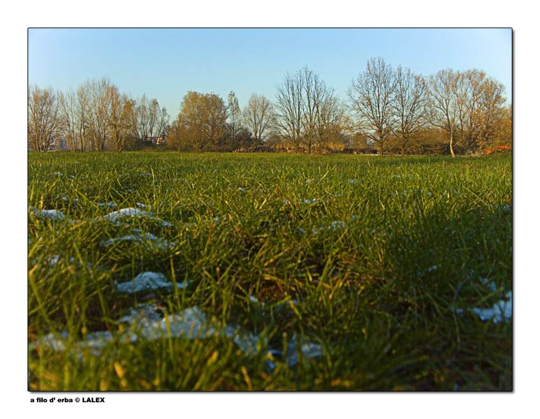a filo d' erba