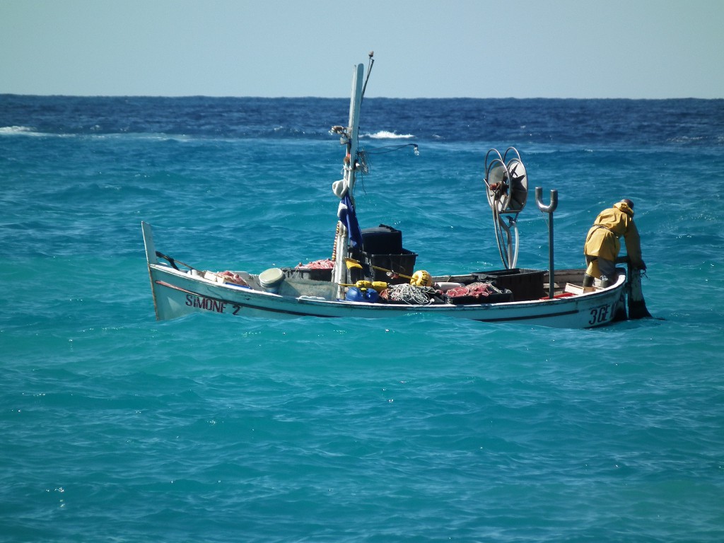 Contest Mezzi di trasporto