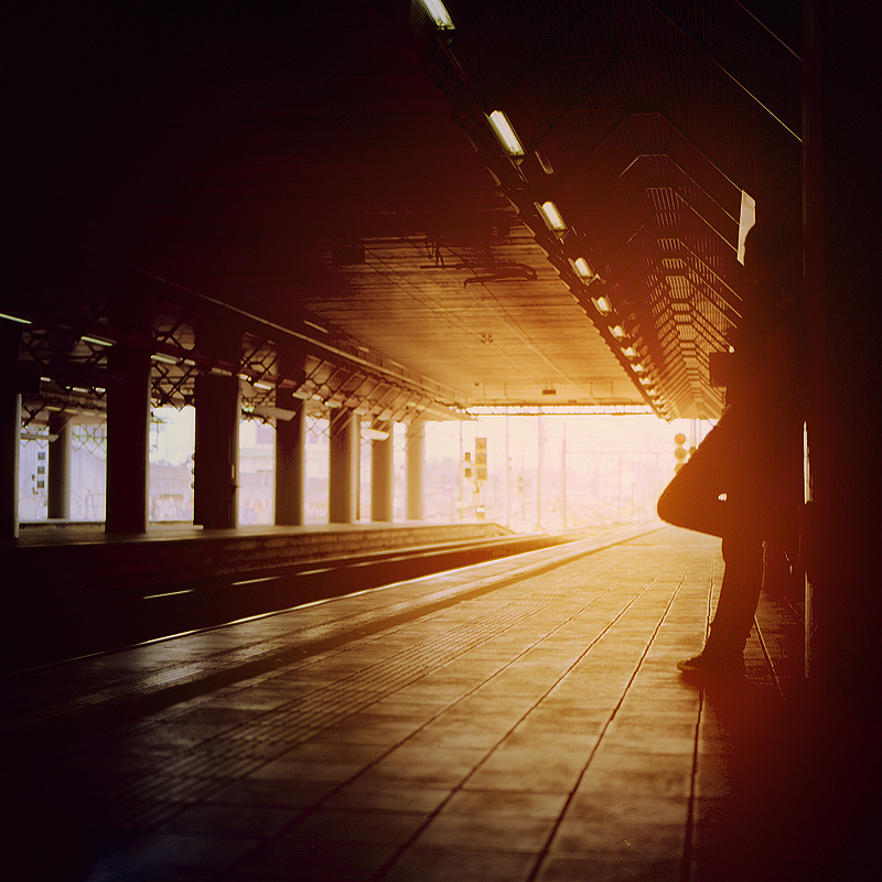 Waiting for the sunset