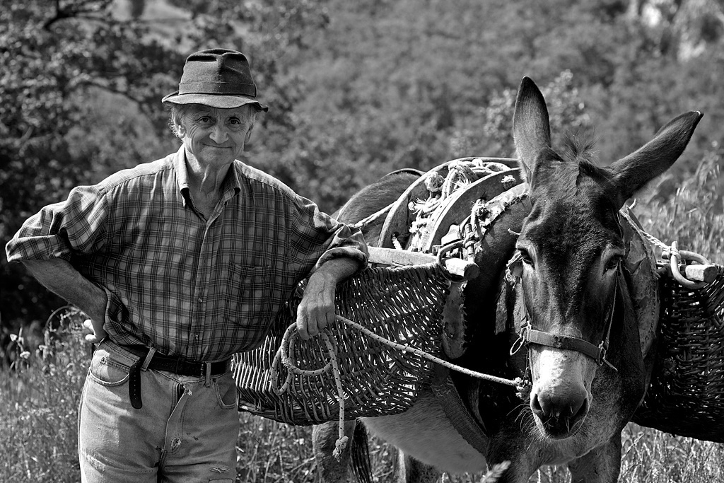 Contest n� 55 - Mezzi di trasporto