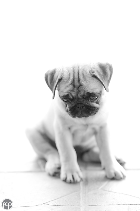 Banana e il Nikon 85 1.4