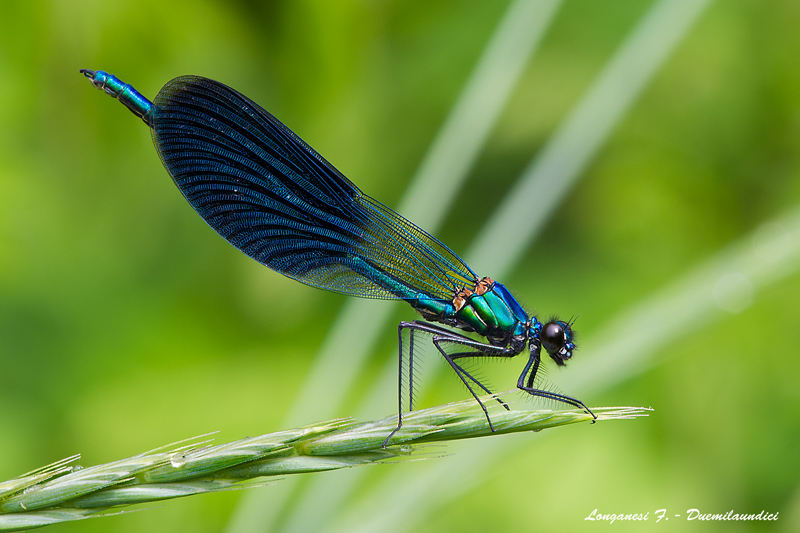 Il posto che non c'� pi�...