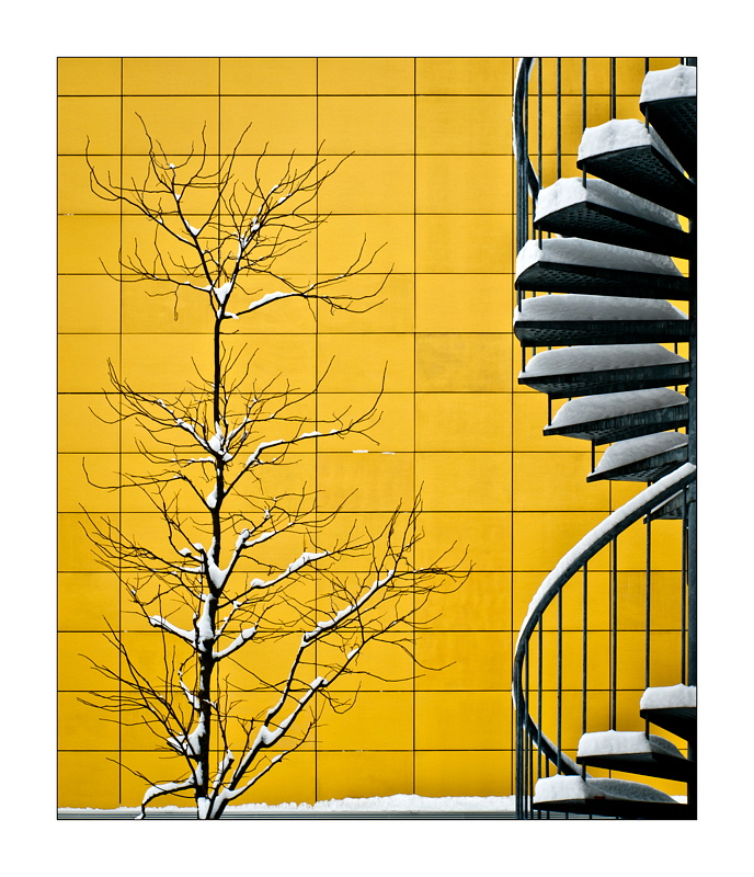 Composizione invernale