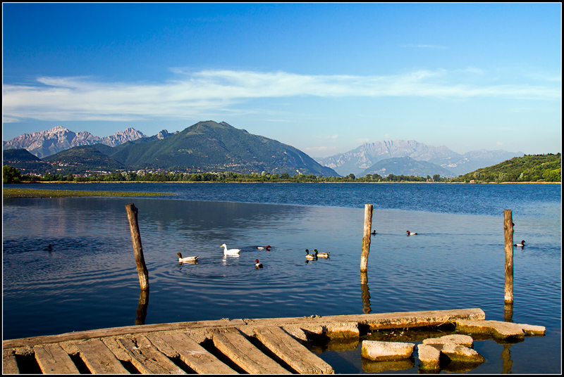 Lago di Alserio